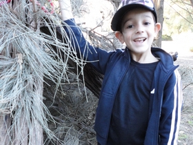 Kid-vs-Wild